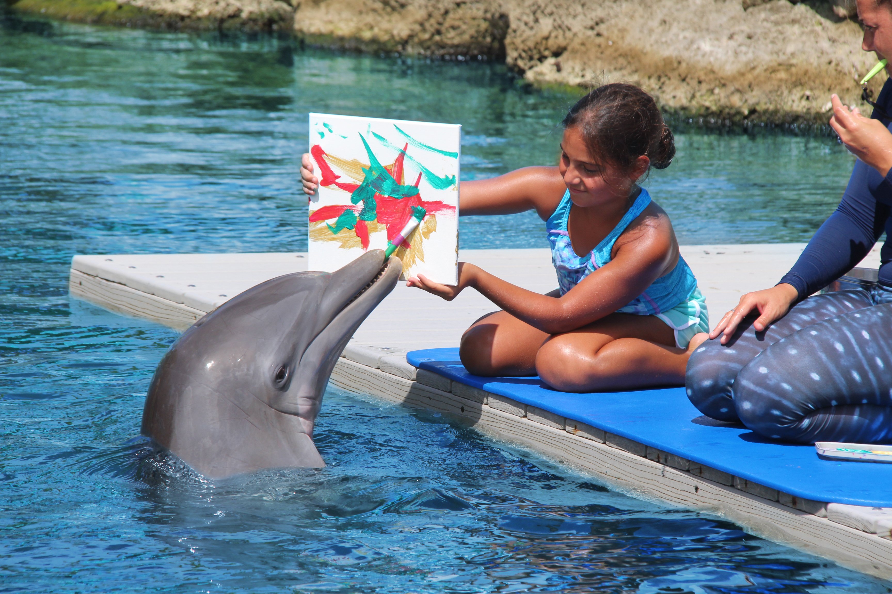 DOL_Girl_Painting_With_Dolphin-2