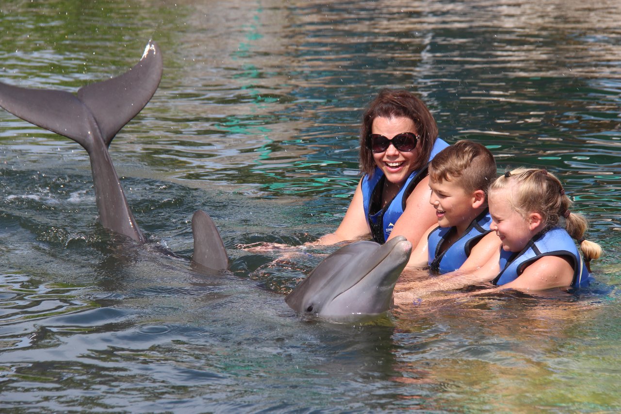 DOL_Mom_and_Kids_Encounter_with_Dolphin