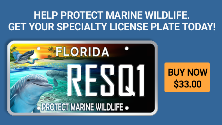 Resq1