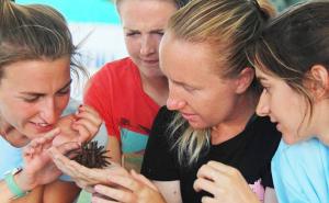 Touch Tank Touch Tank