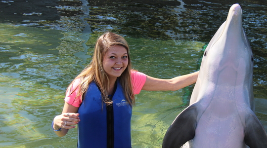 Shallow Water Dolphin Encounter