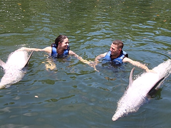 Man and woman swimming in the water with two dolphins Man and woman swimming in the water with two dolphins
